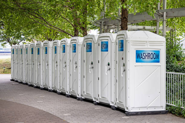 Best Affordable portable toilet rental  in Iron River, MI